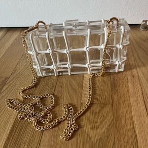 Clear Clutch with White Netting Accents